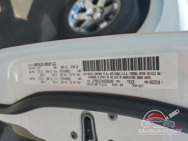 1D7RB1GT6AS250202 2010 DODGE All Models photo no. 12