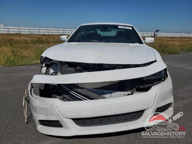 2C3CDXBG1HH541347 2017 DODGE CHARGER photo no. 5