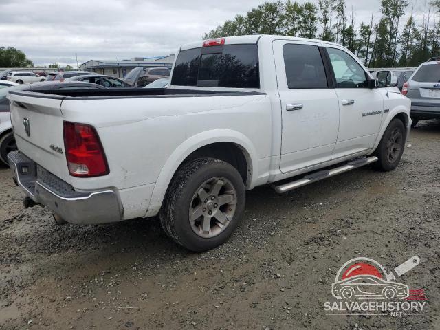 1C6RD7NT1CS305501 2012 DODGE RAM 1500 photo no. 3
