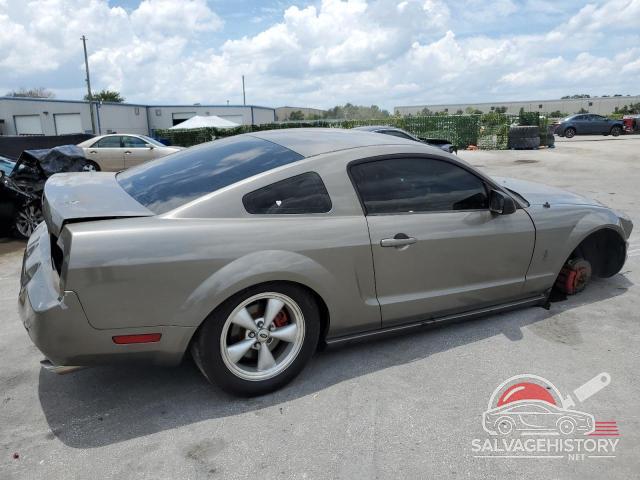1ZVFT80N255134642 2005 FORD ALL Models photo no. 3
