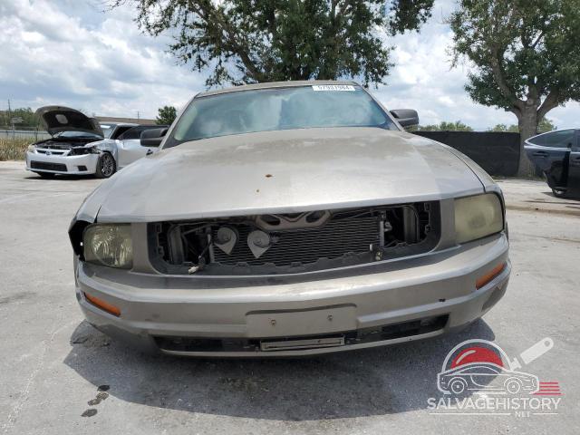1ZVFT80N255134642 2005 FORD ALL Models photo no. 5