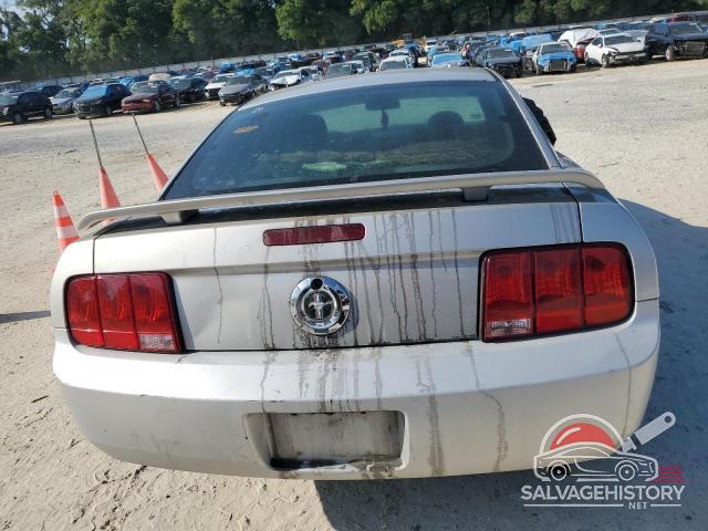 1ZVFT80N355138232 2005 FORD ALL Models photo no. 6