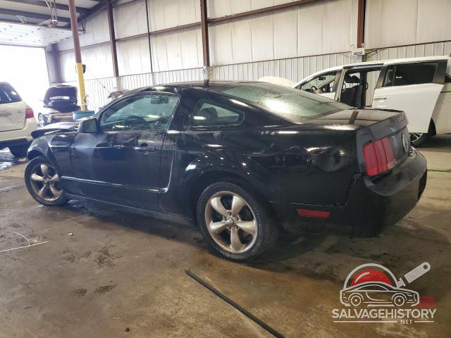 1ZVFT80N365259344 2006 FORD ALL Models photo no. 2