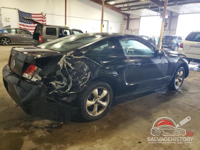 1ZVFT80N365259344 2006 FORD ALL Models photo no. 3