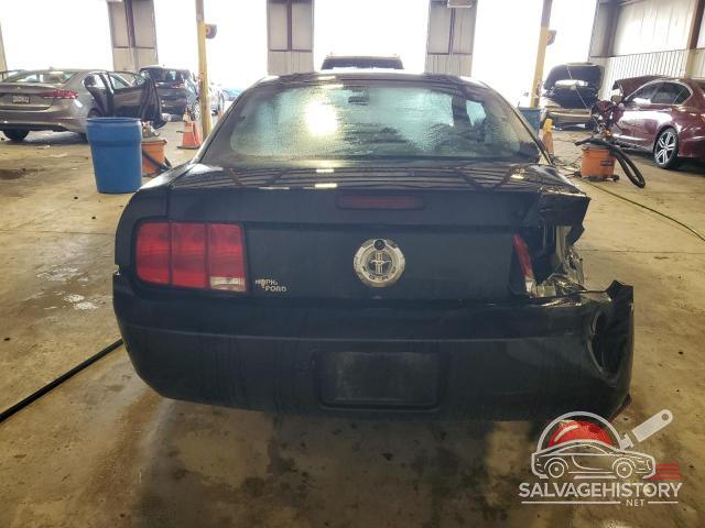 1ZVFT80N365259344 2006 FORD ALL Models photo no. 6