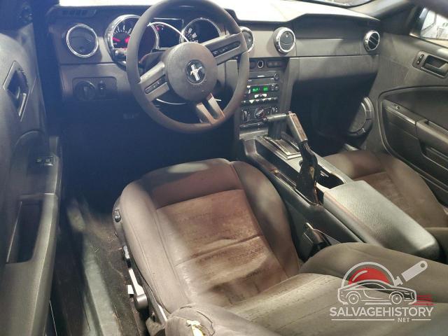 1ZVFT80N365259344 2006 FORD ALL Models photo no. 8