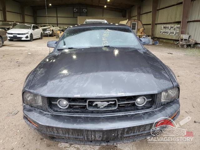 1ZVFT80N675361917 2007 FORD ALL Models photo no. 5