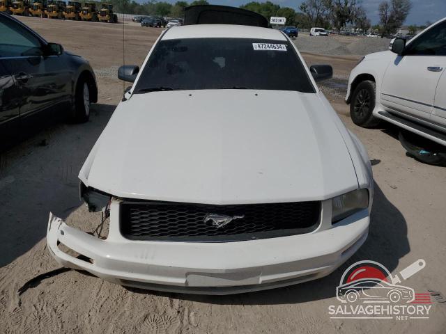 1ZVHT80N385154296 2008 FORD ALL Models photo no. 5