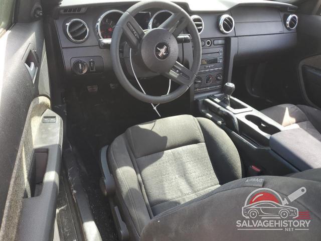 1ZVHT80N385154296 2008 FORD ALL Models photo no. 8