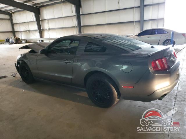 1ZVBP8AM0B5109548 2011 FORD ALL Models photo no. 2