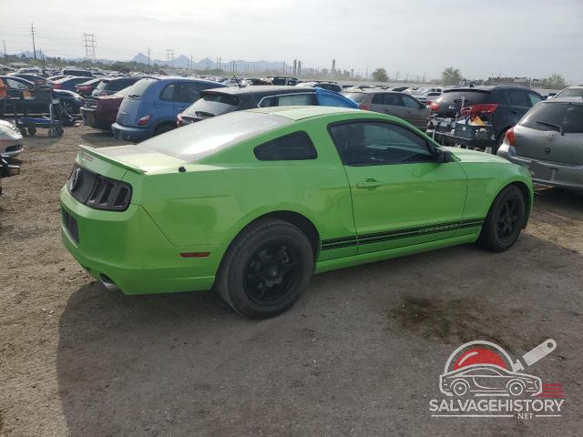 1ZVBP8AM4D5259682 2013 FORD ALL Models photo no. 3