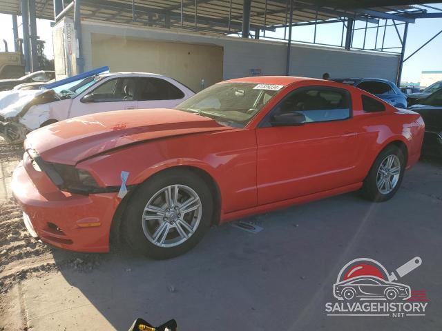 1ZVBP8AM7E5201003 2014 FORD ALL Models photo no. 14