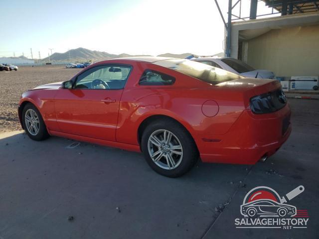 1ZVBP8AM7E5201003 2014 FORD ALL Models photo no. 2