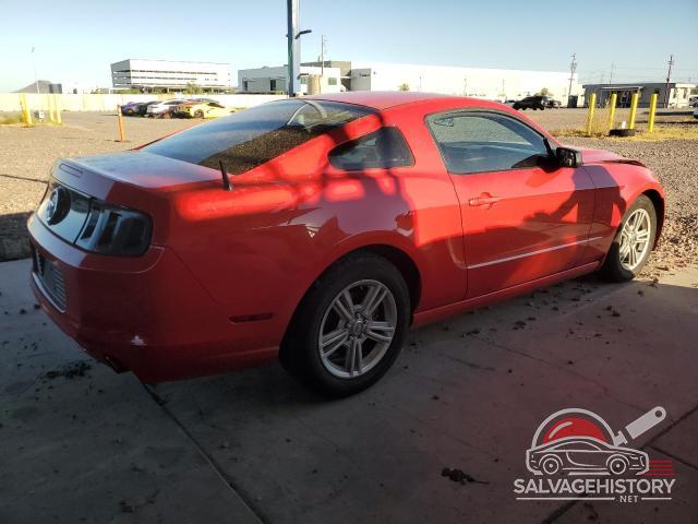 1ZVBP8AM7E5201003 2014 FORD ALL Models photo no. 3