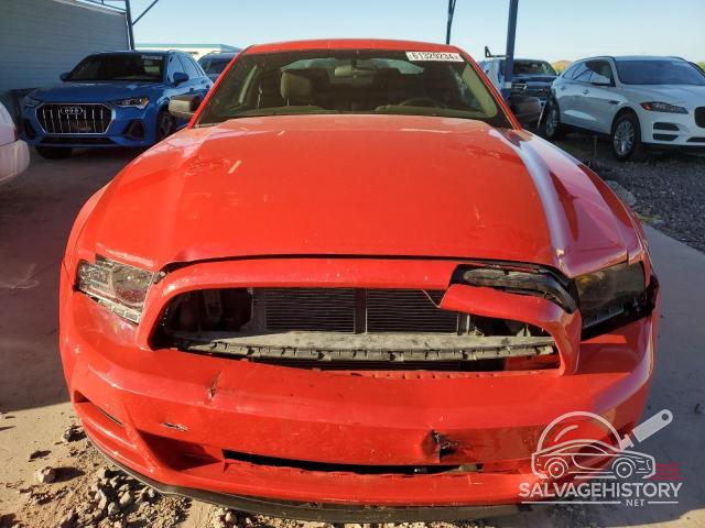 1ZVBP8AM7E5201003 2014 FORD ALL Models photo no. 5