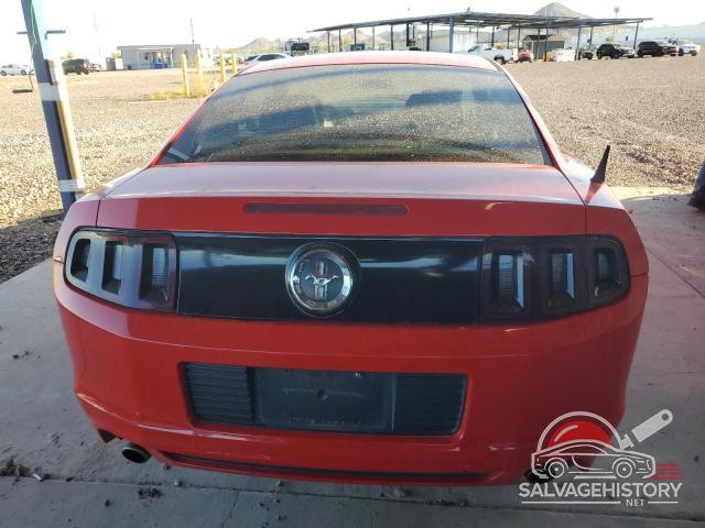 1ZVBP8AM7E5201003 2014 FORD ALL Models photo no. 6