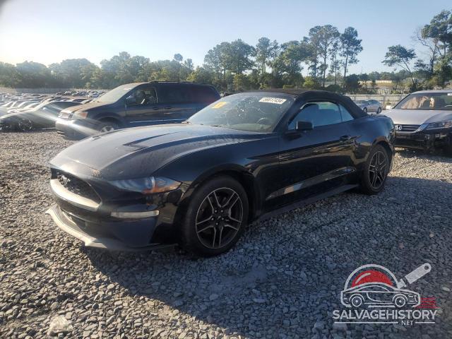 1FATP8UH6M5111920 2021 FORD ALL Models photo no. 13