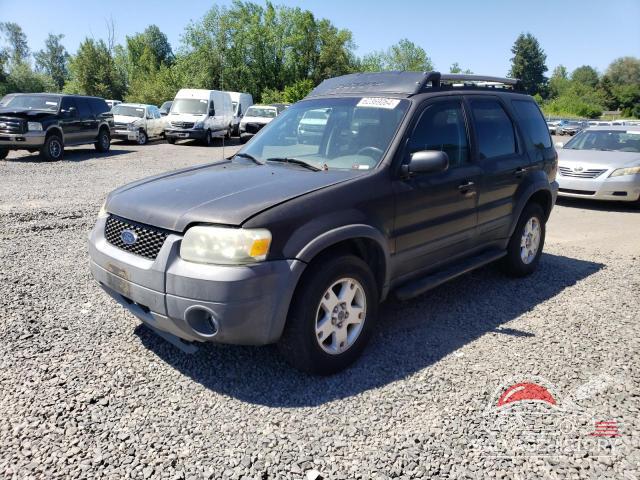 1FMYU93175KB02919 2005 FORD ESCAPE photo no. 6