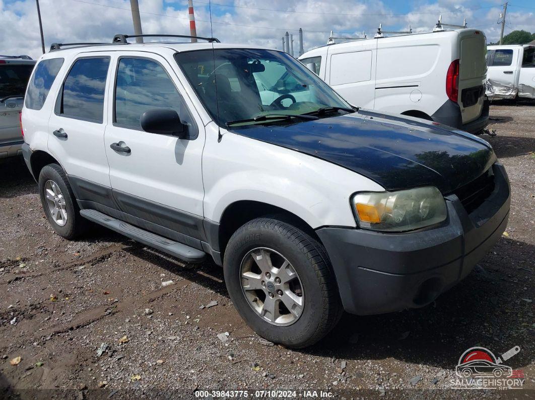 1FMYU93106KB79634 2006 FORD ESCAPE photo no. 19