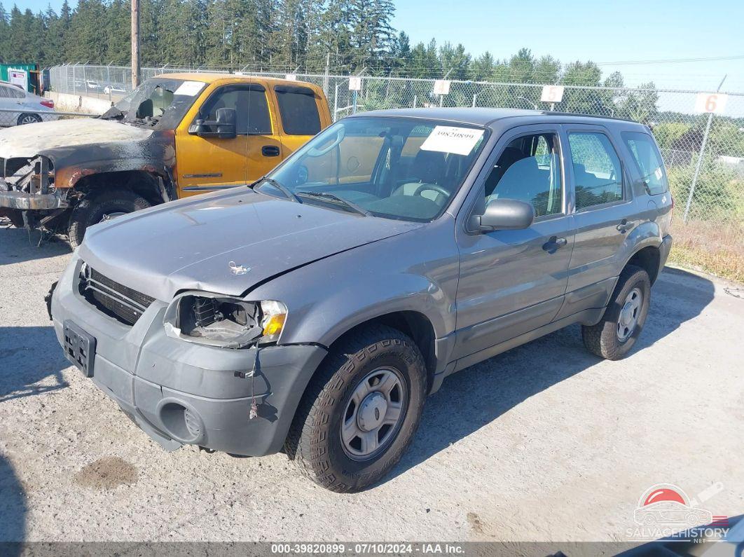 1FMYU02Z07KB26131 2007 FORD ESCAPE photo no. 2