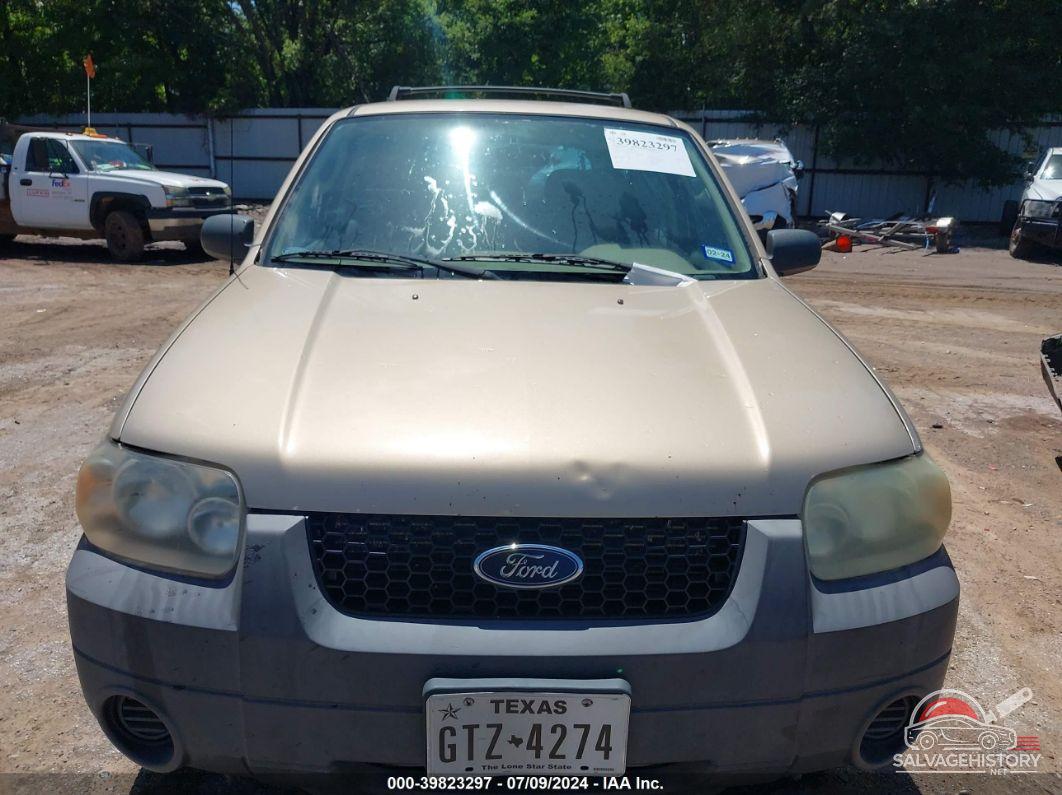 1FMYU02Z37KA35175 2007 FORD ESCAPE photo no. 6