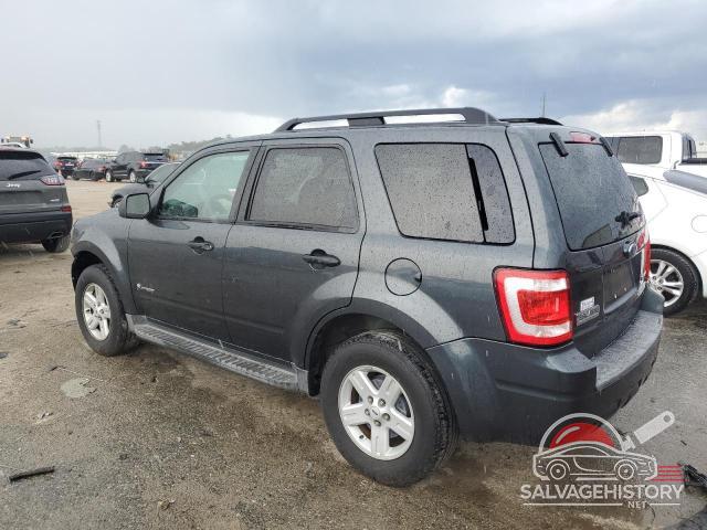 1FMCU49329KB61193 2009 FORD ESCAPE photo no. 2