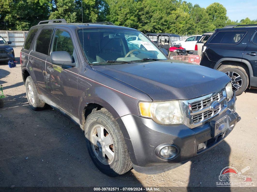 1FMCU9D77AKA29901 2010 FORD ESCAPE photo no. 3
