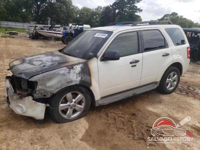 1FMCU0D77BKB24049 2011 FORD ESCAPE photo no. 6