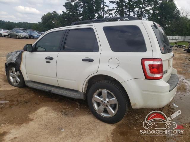 1FMCU0D77BKB24049 2011 FORD ESCAPE photo no. 2