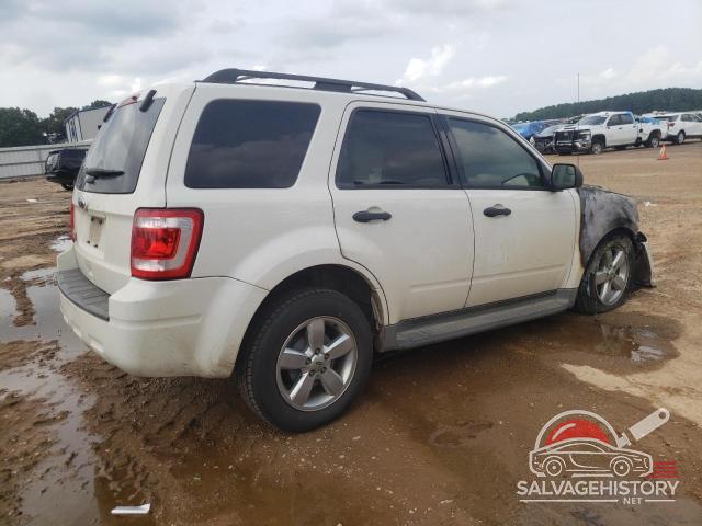 1FMCU0D77BKB24049 2011 FORD ESCAPE photo no. 3