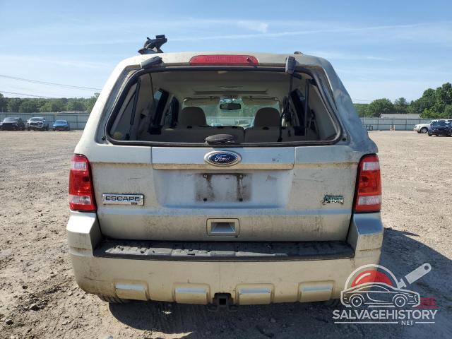 1FMCU0DGXBKC08852 2011 FORD ESCAPE photo no. 6