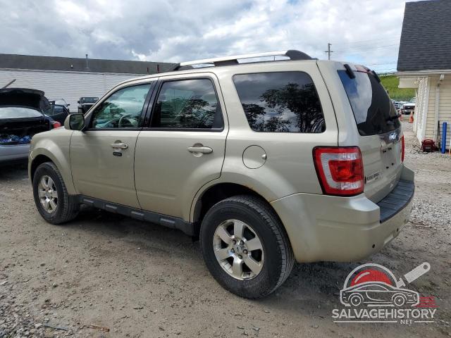 1FMCU0E73BKB44846 2011 FORD ESCAPE photo no. 2