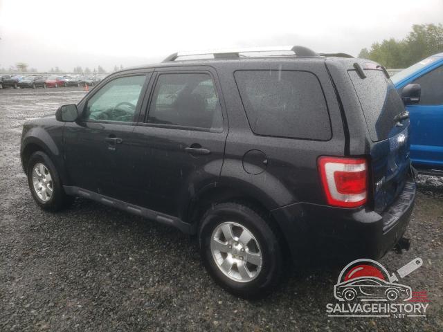 1FMCU9EG7BKC24087 2011 FORD ESCAPE photo no. 2