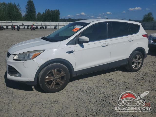 1FMCU0GX2DUB97445 2013 FORD ESCAPE photo no. 6