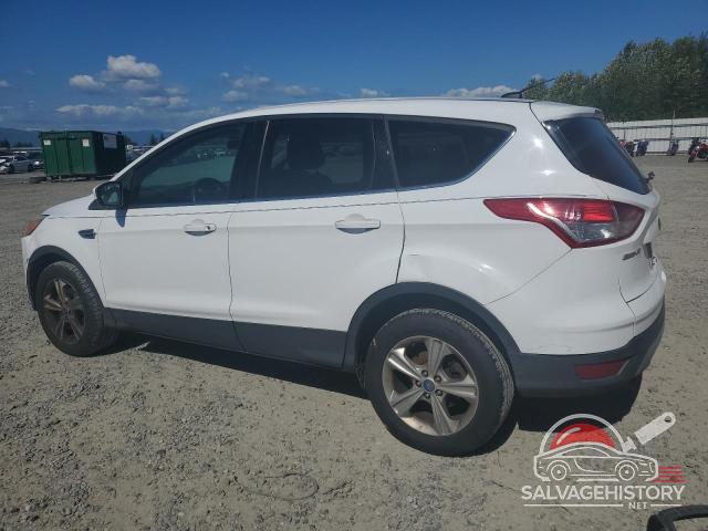 1FMCU0GX2DUB97445 2013 FORD ESCAPE photo no. 2