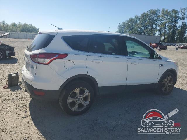 1FMCU0GX2DUB97445 2013 FORD ESCAPE photo no. 3
