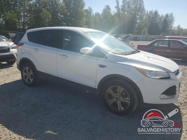 1FMCU0GX2DUB97445 2013 FORD ESCAPE photo no. 4
