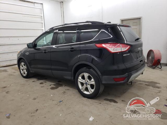 1FMCU0GX8DUB24547 2013 FORD ESCAPE photo no. 2