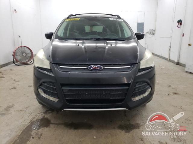 1FMCU0GX8DUB24547 2013 FORD ESCAPE photo no. 5