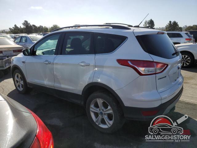 1FMCU0GX9DUB84031 2013 FORD ESCAPE photo no. 2