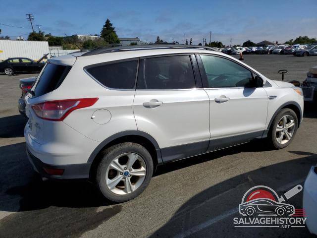 1FMCU0GX9DUB84031 2013 FORD ESCAPE photo no. 3