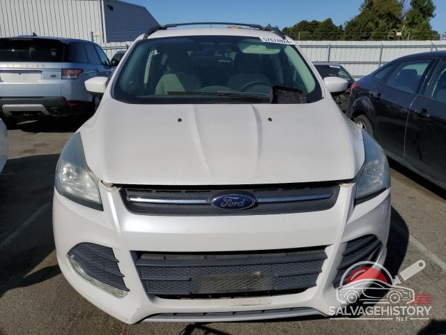 1FMCU0GX9DUB84031 2013 FORD ESCAPE photo no. 5