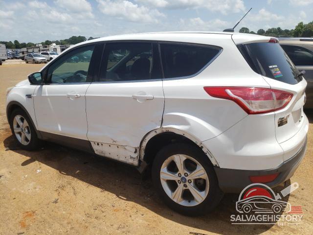 1FMCU0GXXDUA74072 2013 FORD ESCAPE photo no. 2
