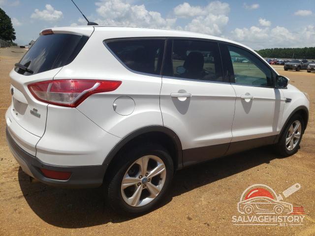 1FMCU0GXXDUA74072 2013 FORD ESCAPE photo no. 3