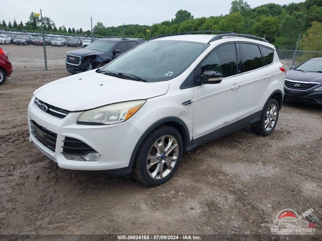 1FMCU0H9XDUB13002 2013 FORD ESCAPE photo no. 2
