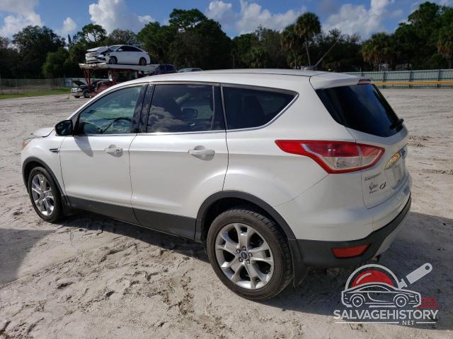 1FMCU0HX6DUB51230 2013 FORD ESCAPE photo no. 2