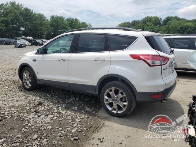 1FMCU9H99DUD62461 2013 FORD ESCAPE photo no. 2