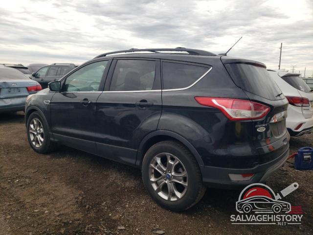 1FMCU9HX7DUA13569 2013 FORD ESCAPE photo no. 2