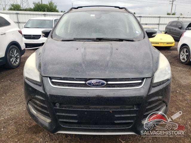 1FMCU9HX7DUA13569 2013 FORD ESCAPE photo no. 5