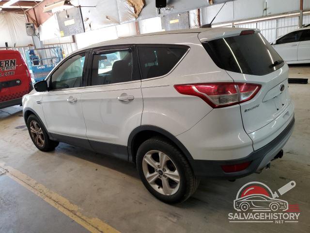 1FMCU0G91EUB02151 2014 FORD ESCAPE photo no. 2